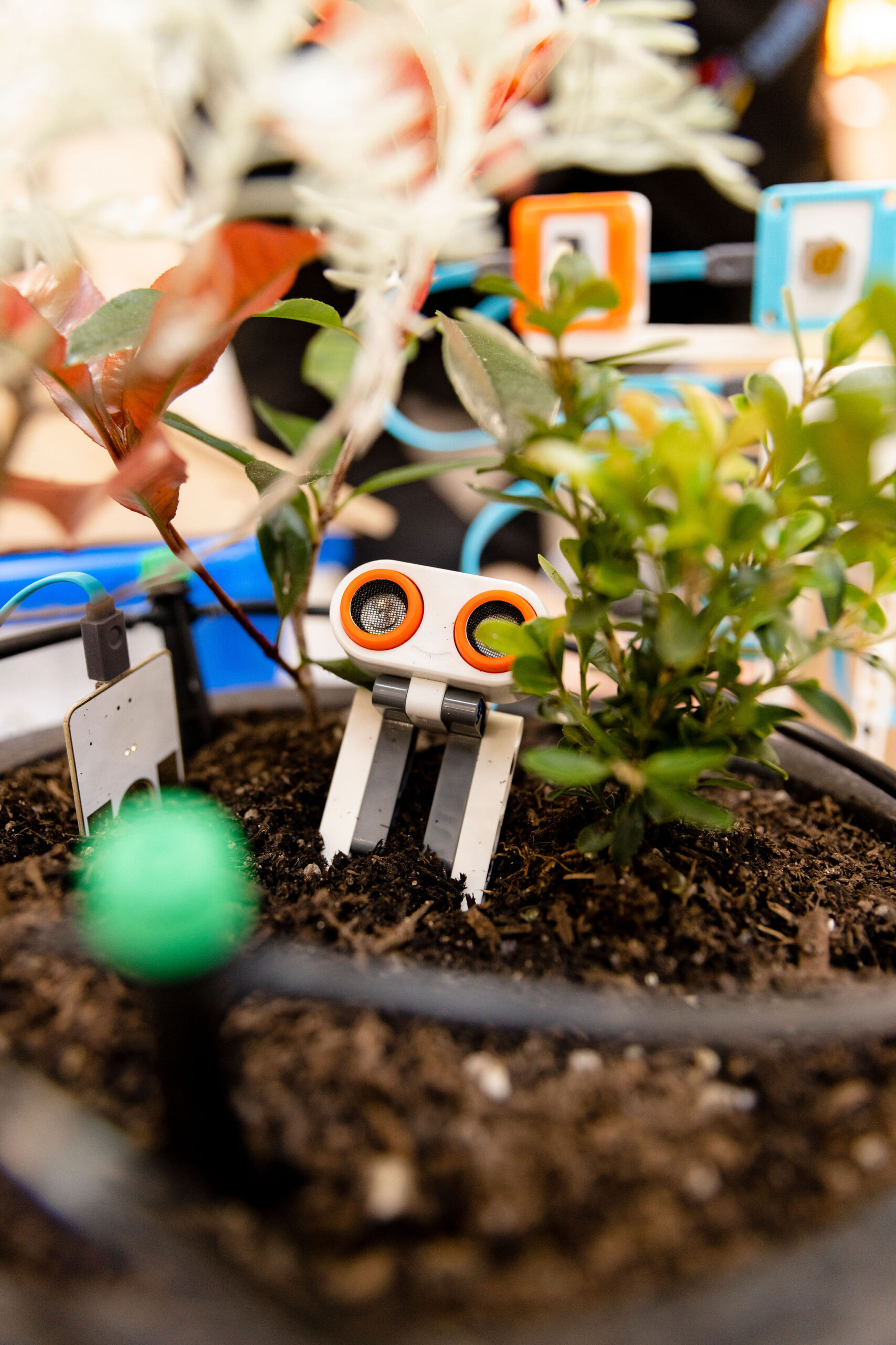 Small Lego robot in a pot plant